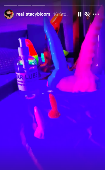 Stacy's dildoes.png