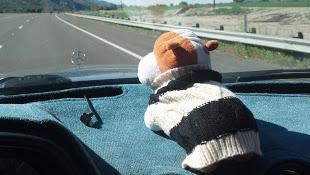 2013-02-03_12-00-11_74.jpg