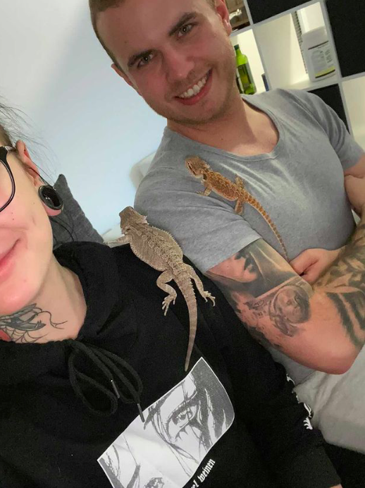 Char2 bf reptiles.png