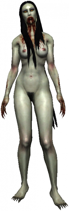 bruxa (2).png