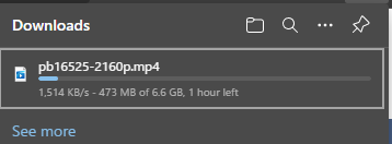 Bang Bros Vid Download Speed.PNG