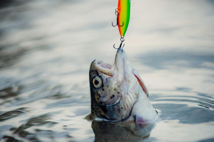 Random image of a PW member.jpg