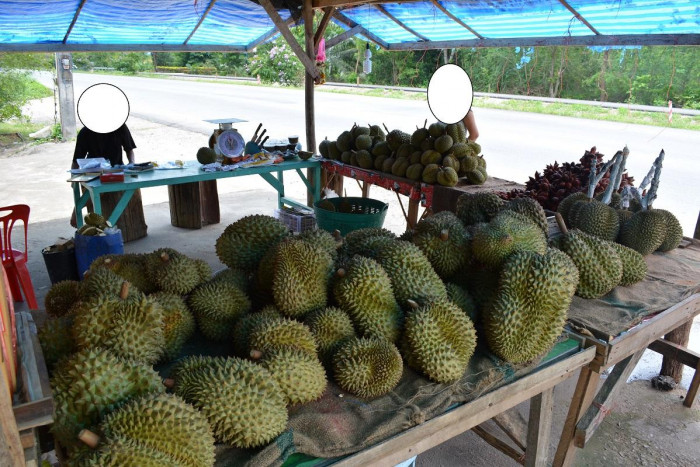 durian.JPG