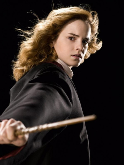 hermione-granger-half-blood-prince-portrait-12-600x0-c-default.jpg