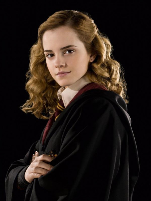 hermione-granger-half-blood-prince-portrait-8-600x0-c-default.jpg
