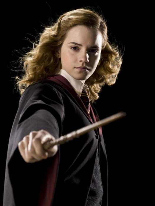 hermione-granger-half-blood-prince-portrait-4-600x0-c-default.jpg