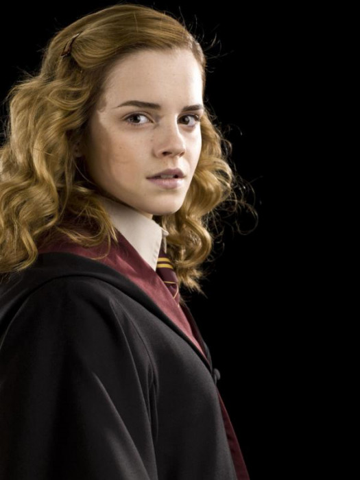 hermione-granger-half-blood-prince-portrait-5-600x0-c-default.jpg
