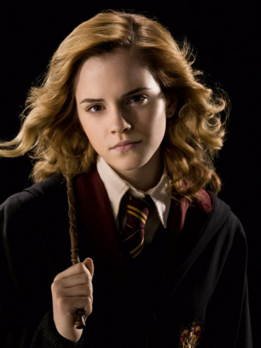 hermione-granger-half-blood-prince-portrait-7-600x0-c-default.jpg