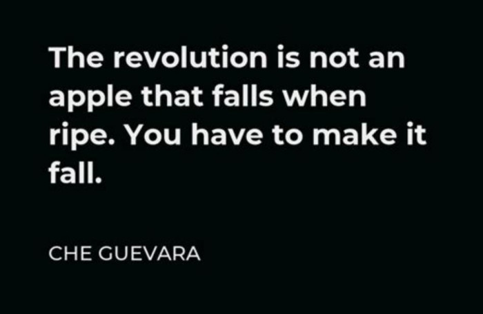 the revolution is not an apple that falls when ripe. you have to make it fall - che guevara.jpg