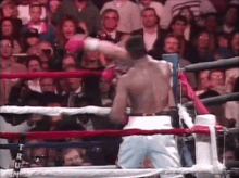 evil boxing vs holy good sex 2.gif