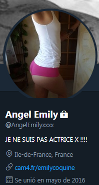 FireShot Capture 24 - Tweets con respuestas por Angel Emily (@_ - https___twitter.com_AngelEmilyxxxx.png