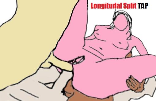 Long_split_DAP_TAP_modded.jpg