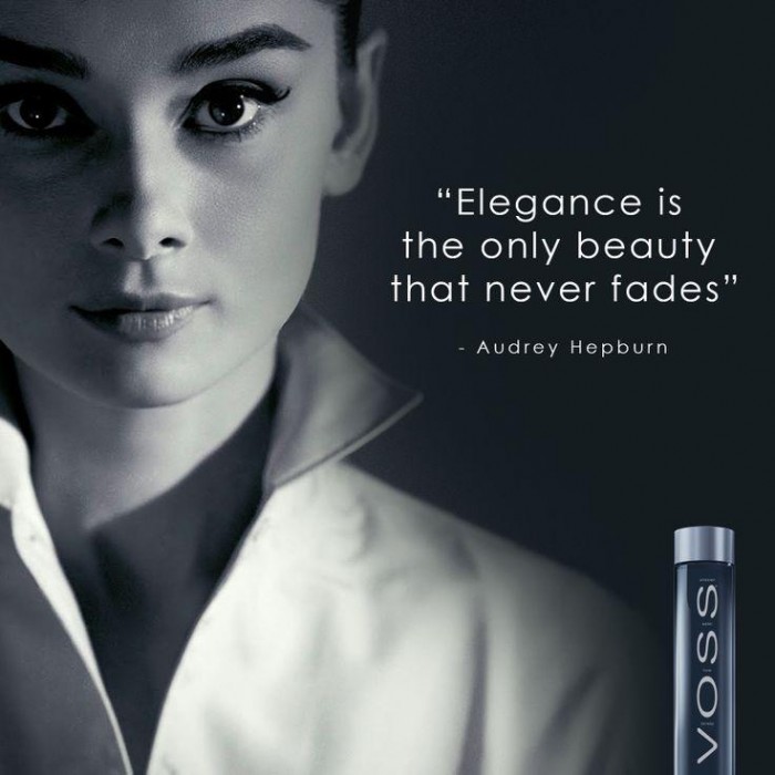 517b38a86b7730cb7dc0fd3d99e7546b--audrey-hepburn-icons.jpg