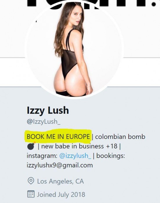 IzzyLushTwitter.JPG