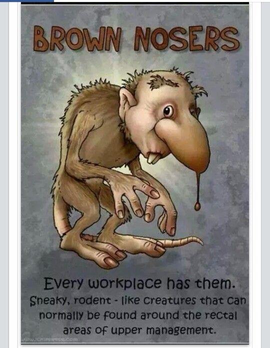 996312e0ac2598a84bdbd8e22a8f73d3--work-humor-humour.jpg