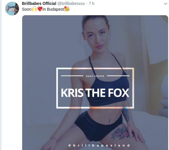 thefoxx.png