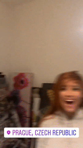 crazy cat.gif