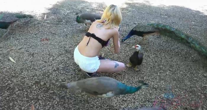 Haley & The Birds.png