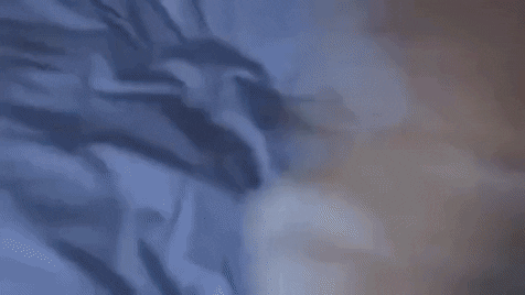 giphy5.gif