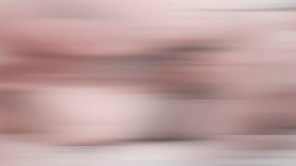 Bella Angel_1.gif