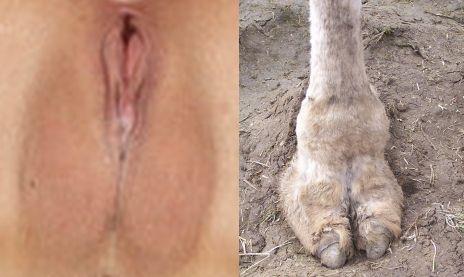 Tian Yu's cameltoe.jpg