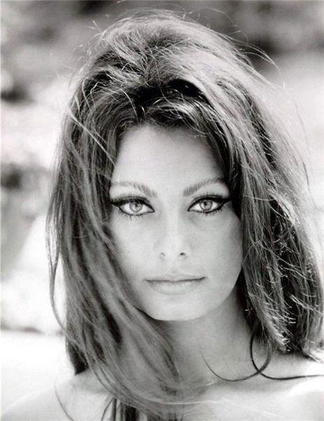 Sophia Loren.jpg