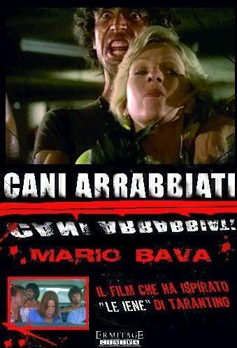 cani_arrabbiati-714611967-large.jpg