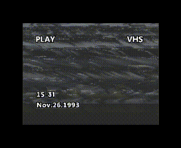 My Video-171.gif