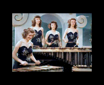 My Video-2.gif
