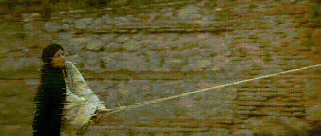 My Video-38.gif