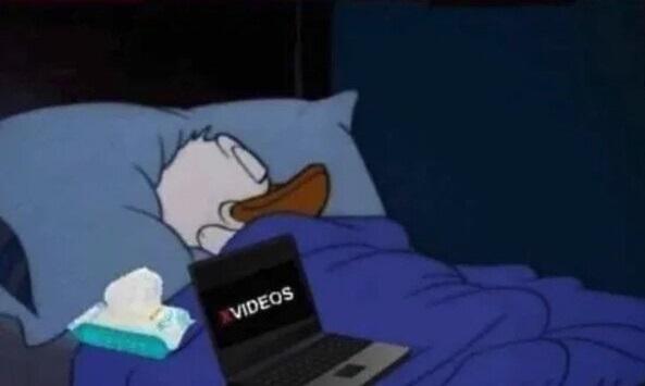 donald xvideos.jpg