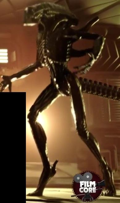 xenomorph skinny xxxxxxx (7)2.jpg