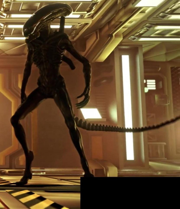 xenomorph skinny xxxxxxx (3)2.jpg