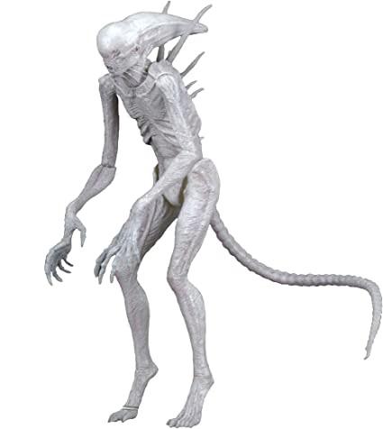 xenomorph (10).jpg