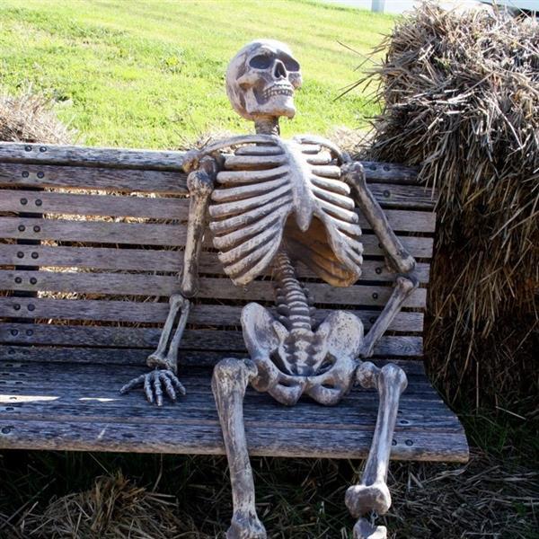 bench-skeleton.jpg