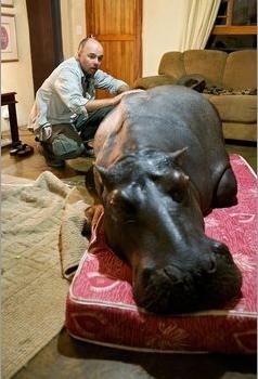 PW anal technique lesson.jpg